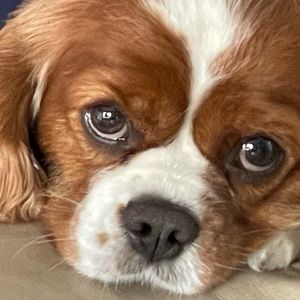 Meet your Posher, Alejandra